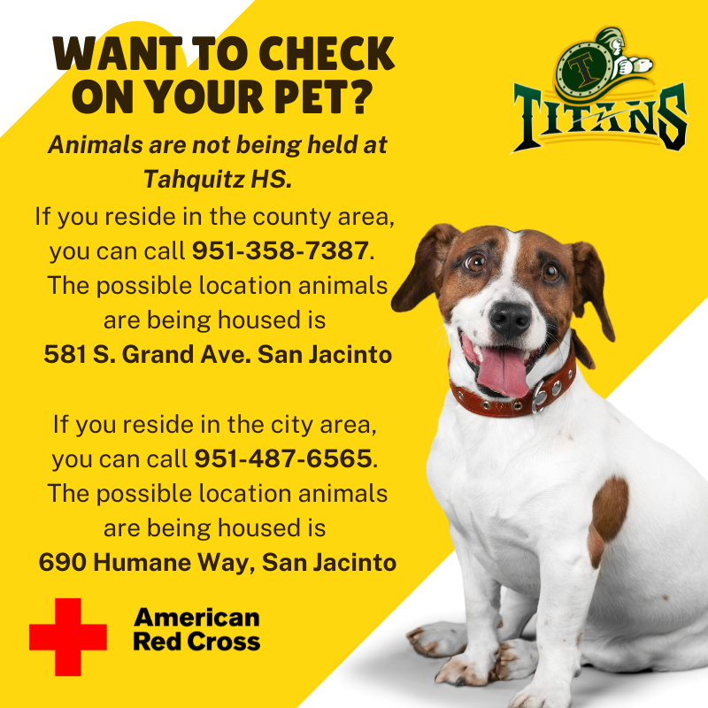 check on your pets